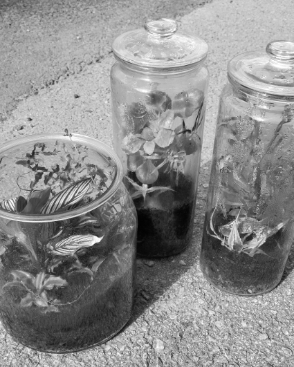 DIY Minigarten